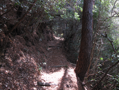 20140419hike (73)